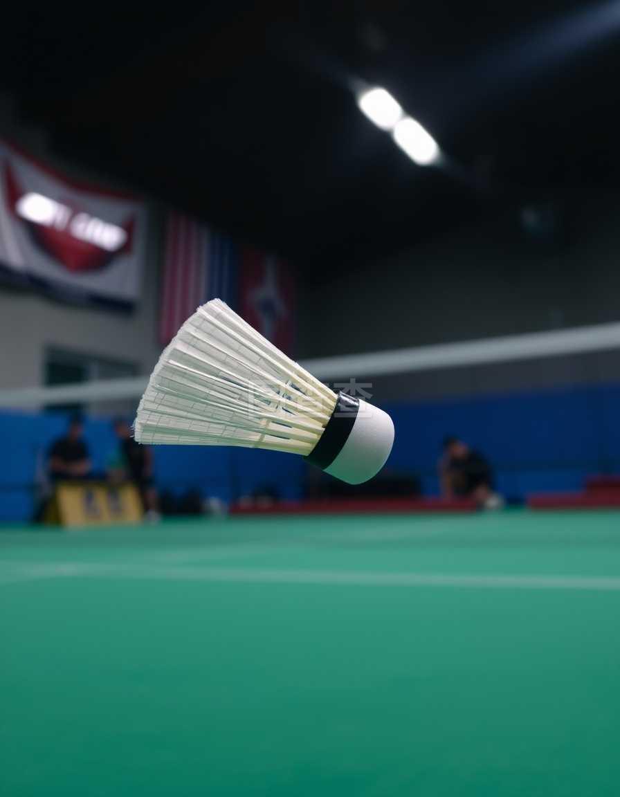 去的赛季中 去的赛季中